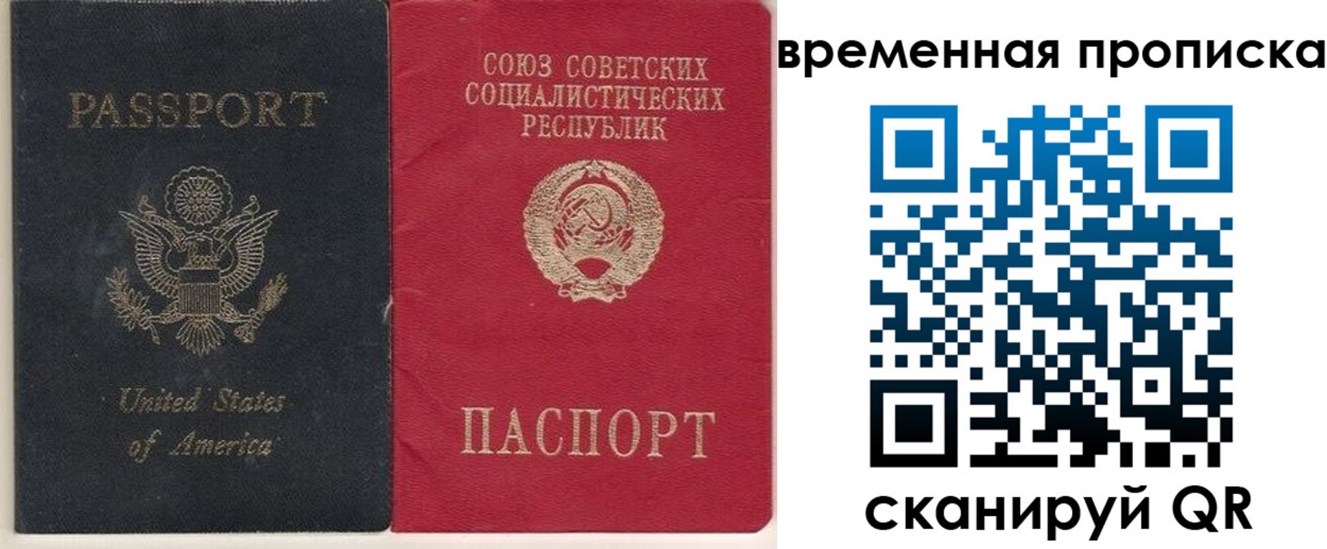 прописка для школы в Новокуйбышевске